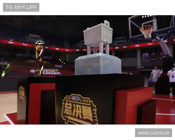 体育明星慈善基金会资金去向的合规化审计